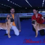 ash-giulia-arezzo-2008