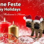 buonefeste-shar-pei-2011 shar-pei