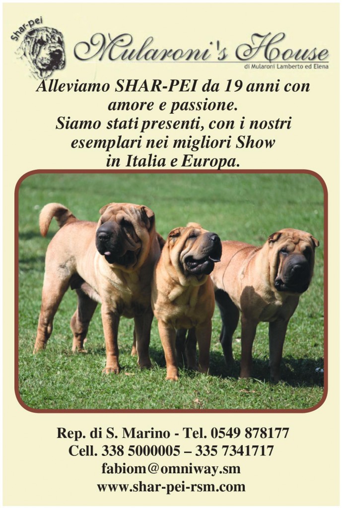 mularoni's house allevamento shar-pei