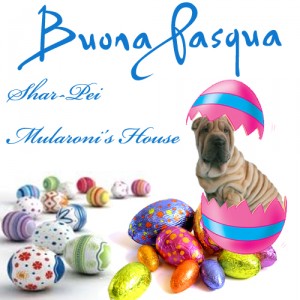 pasqua Mularoni's House